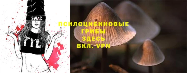 кокс Нягань