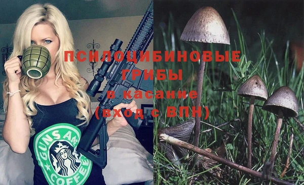хмурый Нязепетровск