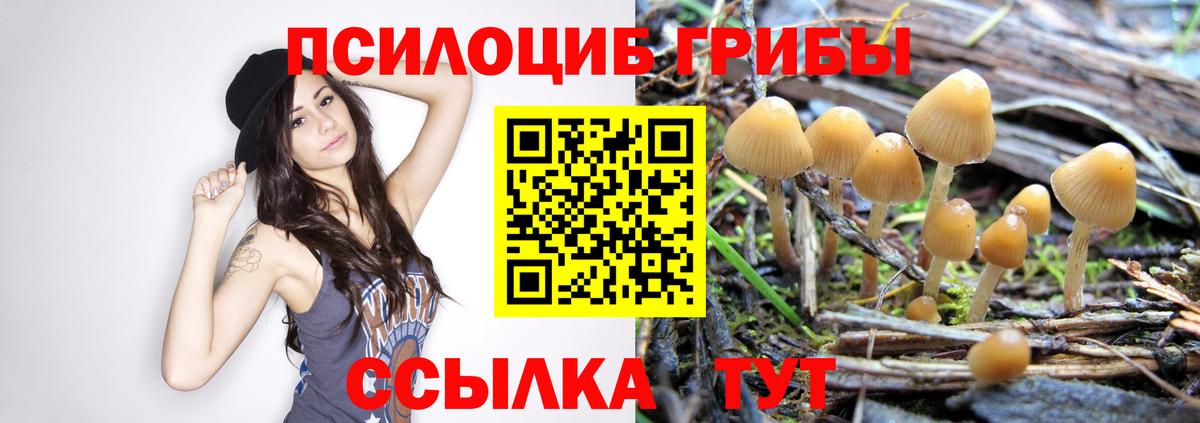 Галлюциногенные грибы прущие грибы  Галлюциногенные грибы Magic Shrooms  Алатырь  Вход с VPN 